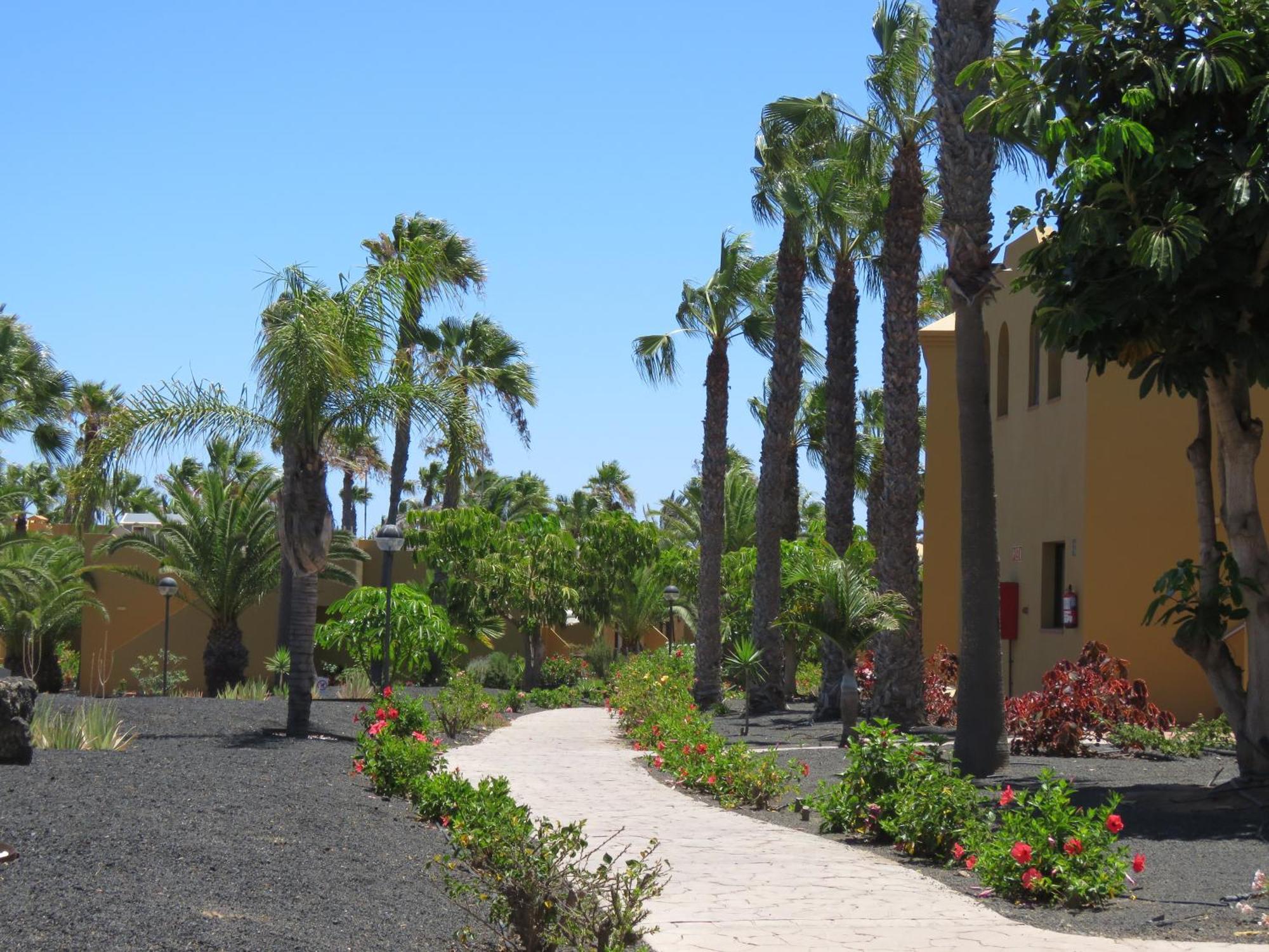 Casa Mona Daire Corralejo Dış mekan fotoğraf